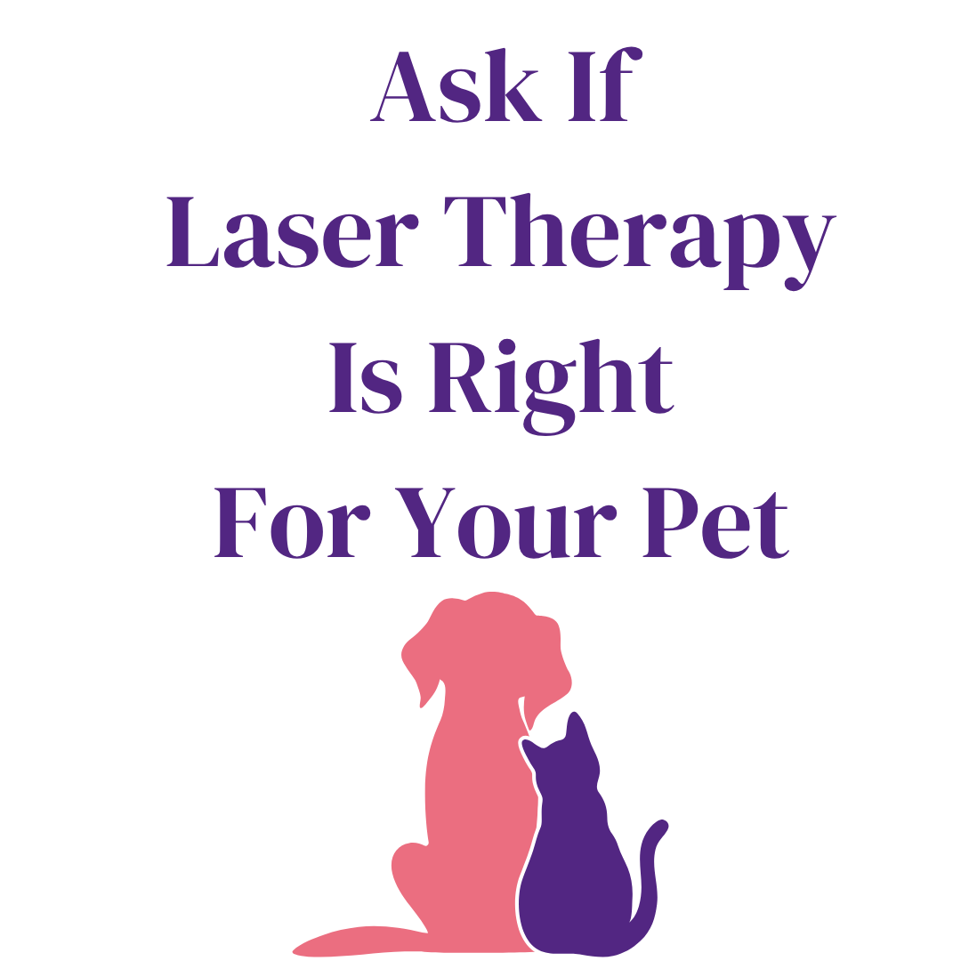 NCAH Laser Therapy-c